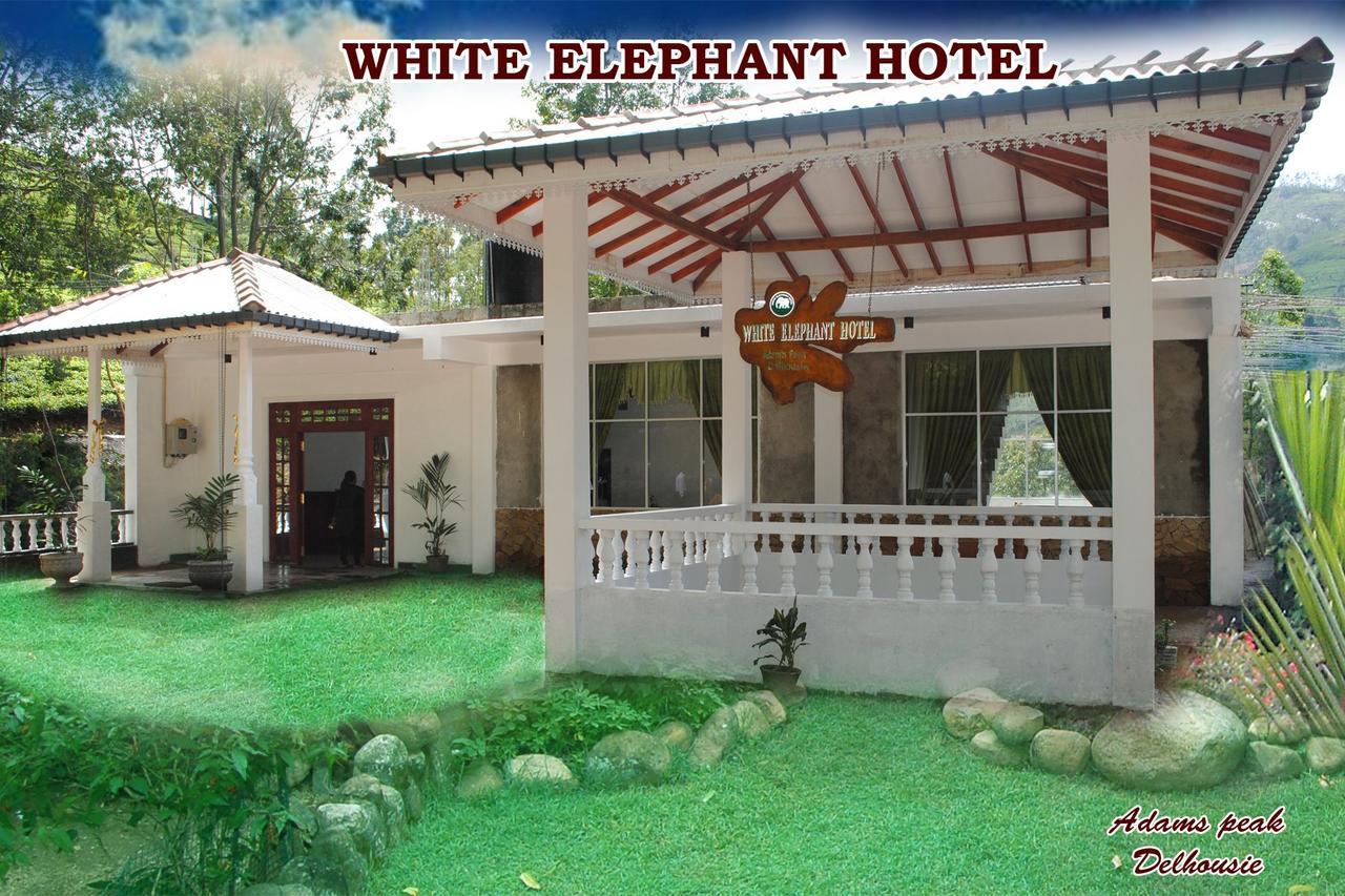 White Elephant Hotel Maskeliya Exterior foto